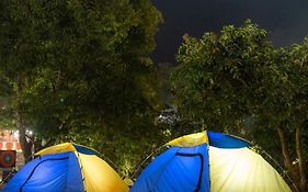 Dandeli Jungle Resort